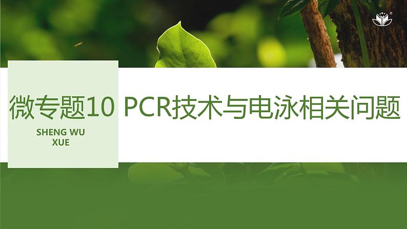 2024年高考生物大一轮选择性必修3复习课件：微专题10 PCR技术与电泳相关问题第1页