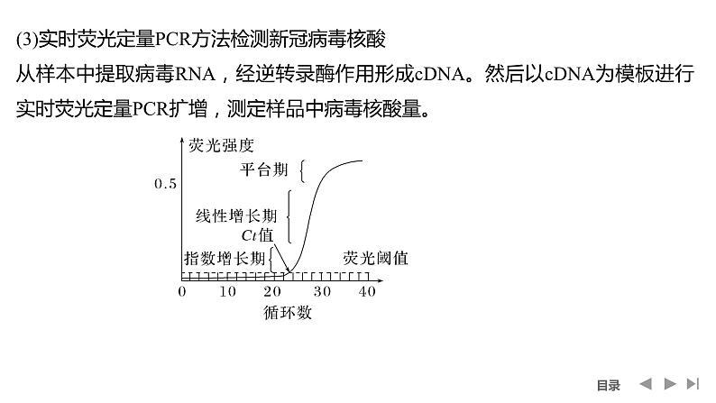 2024年高考生物大一轮选择性必修3复习课件：微专题10 PCR技术与电泳相关问题第6页