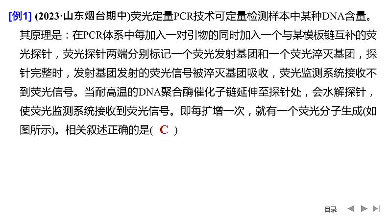 2024年高考生物大一轮选择性必修3复习课件：微专题10 PCR技术与电泳相关问题第8页