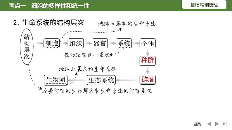 2024年高中生物大一轮复习必修一课件：第1讲　借助显微镜走近细胞第7页