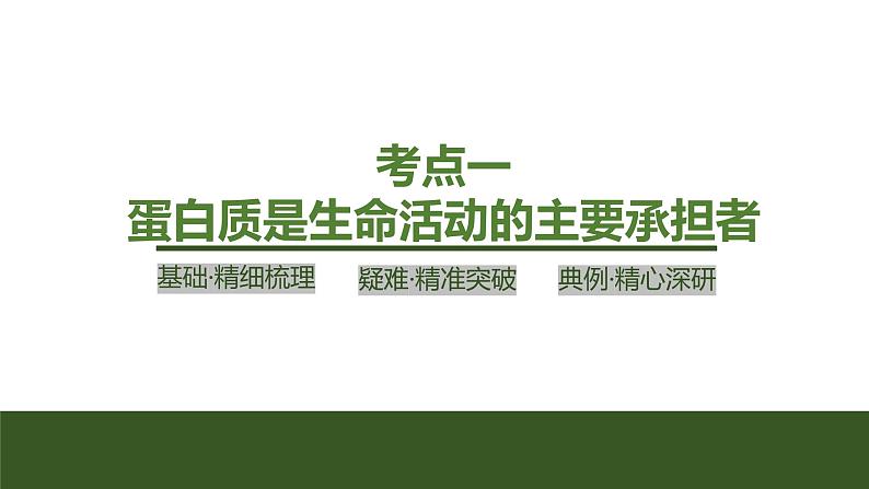 2024年高中生物大一轮复习必修一课件：第3讲　蛋白质和核酸第4页