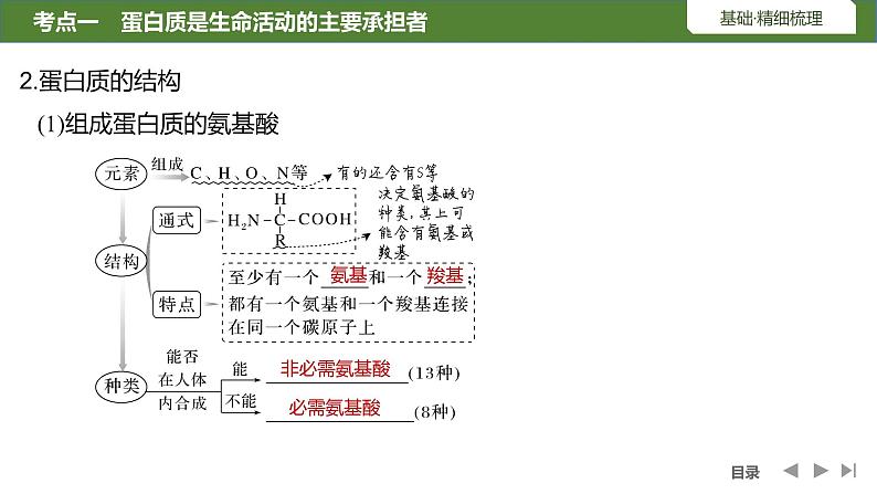 2024年高中生物大一轮复习必修一课件：第3讲　蛋白质和核酸第6页