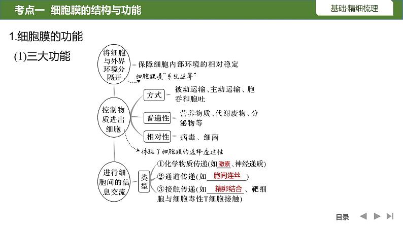 2024年高中生物大一轮复习必修一课件：第4讲　细胞膜与细胞核第5页