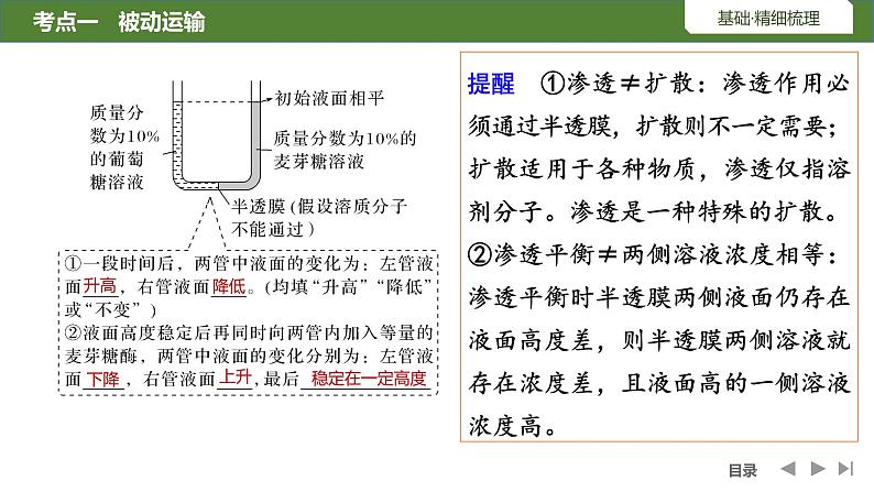 2024年高中生物大一轮复习必修一课件：第6讲　细胞的物质输入和输出07