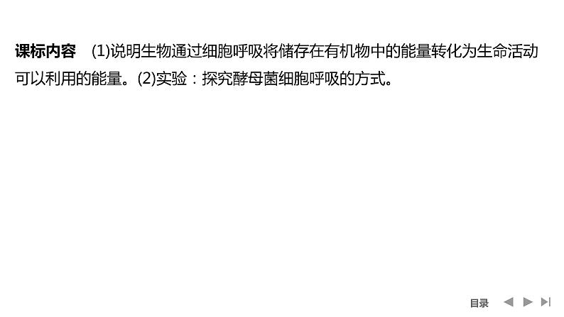 2024年高中生物大一轮复习必修一课件：第8讲　细胞呼吸的原理和应用第2页
