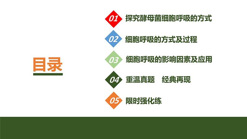2024年高中生物大一轮复习必修一课件：第8讲　细胞呼吸的原理和应用第3页
