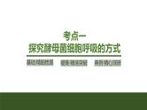 2024年高中生物大一轮复习必修一课件：第8讲　细胞呼吸的原理和应用