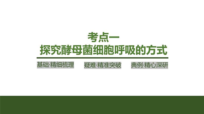2024年高中生物大一轮复习必修一课件：第8讲　细胞呼吸的原理和应用第4页