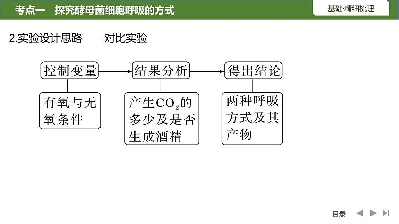 2024年高中生物大一轮复习必修一课件：第8讲　细胞呼吸的原理和应用第6页