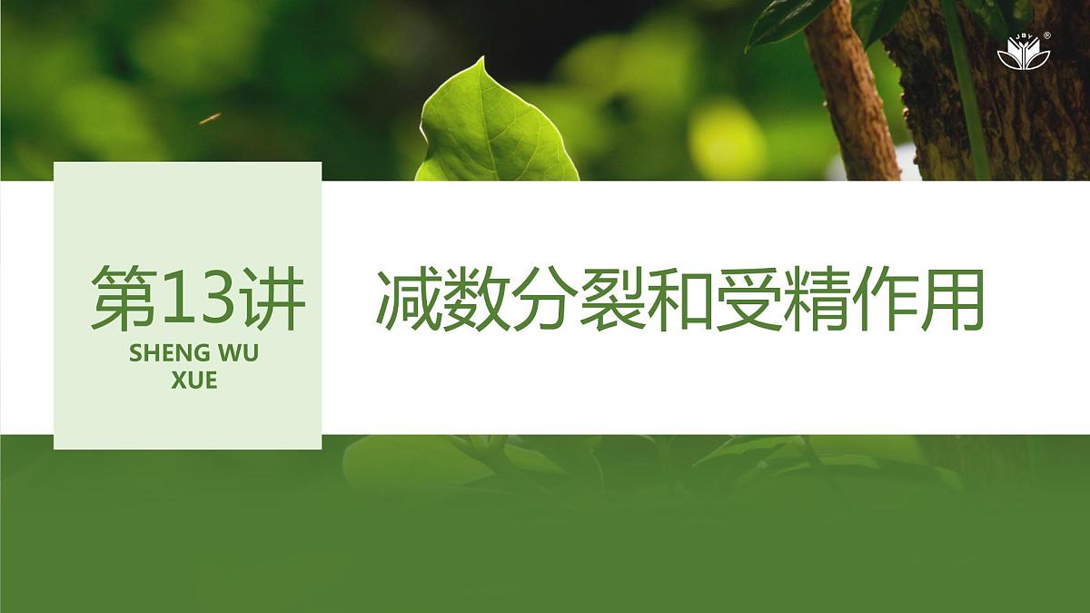 2024年高中生物大一轮复习必修一课件：第13讲　减数分裂和受精作用第1页