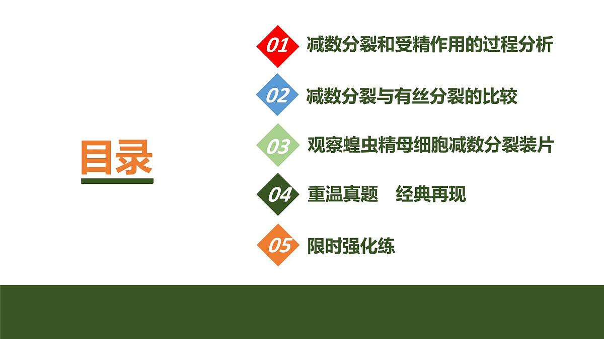 2024年高中生物大一轮复习必修一课件：第13讲　减数分裂和受精作用第3页