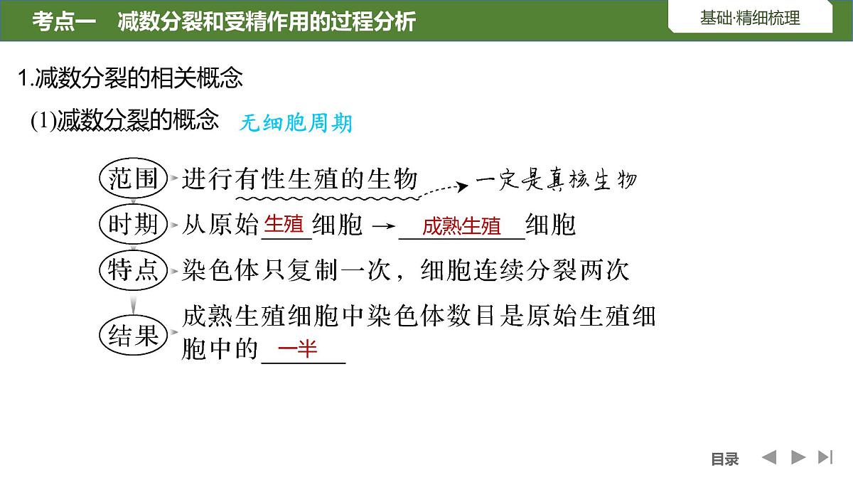 2024年高中生物大一轮复习必修一课件：第13讲　减数分裂和受精作用第5页