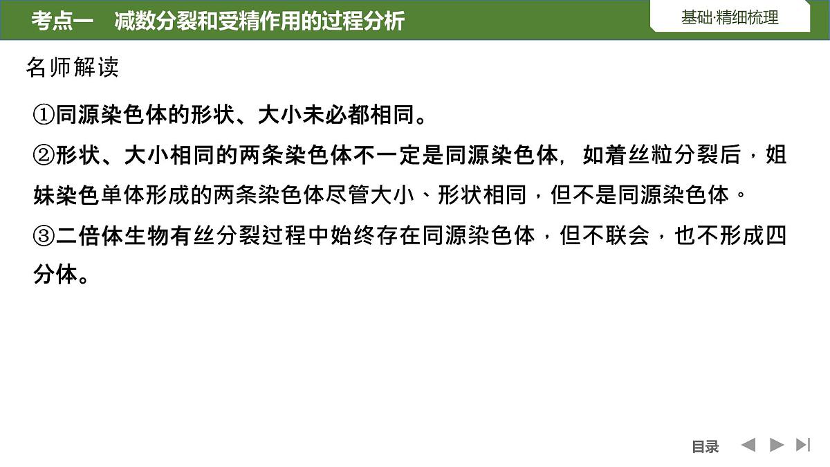 2024年高中生物大一轮复习必修一课件：第13讲　减数分裂和受精作用第8页