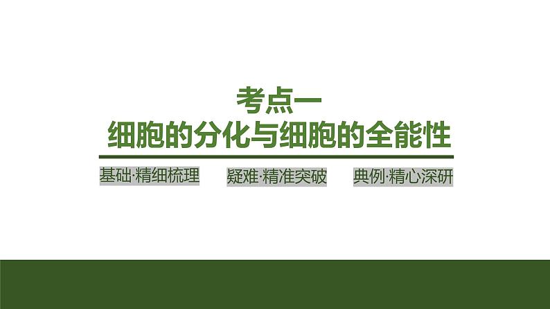 2024年高中生物大一轮复习必修一课件：第14讲　细胞的分化、衰老和死亡04