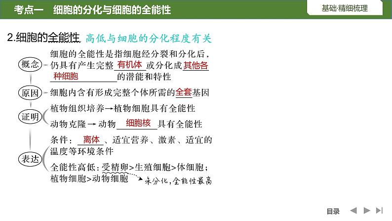 2024年高中生物大一轮复习必修一课件：第14讲　细胞的分化、衰老和死亡07