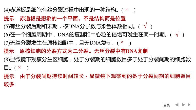 2024年高中生物大一轮复习必修一课件：阶段排查 回扣落实(三)第3页