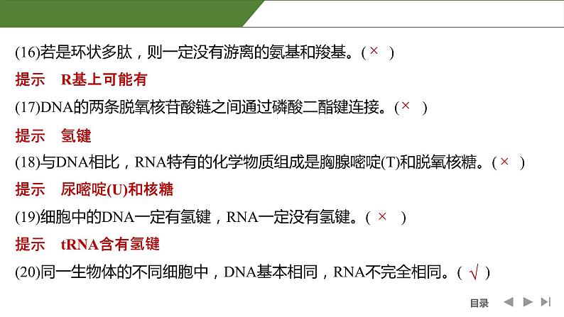 2024年高中生物大一轮复习必修一课件：阶段排查 回扣落实(一)第6页