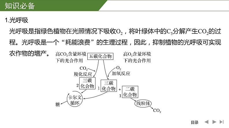 2024年高中生物大一轮复习必修一课件：微专题3 光呼吸、C4植物等特殊代谢类型第2页