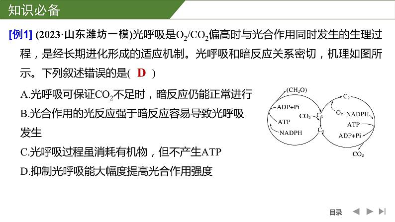 2024年高中生物大一轮复习必修一课件：微专题3 光呼吸、C4植物等特殊代谢类型第4页