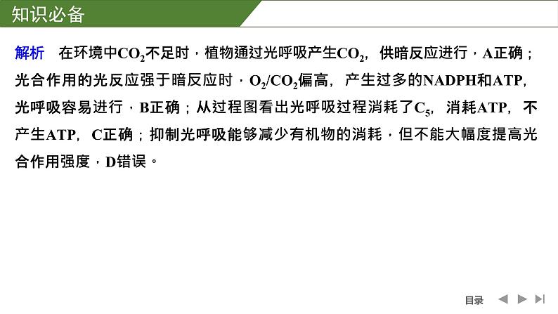 2024年高中生物大一轮复习必修一课件：微专题3 光呼吸、C4植物等特殊代谢类型第5页