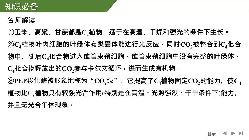 2024年高中生物大一轮复习必修一课件：微专题3 光呼吸、C4植物等特殊代谢类型第7页