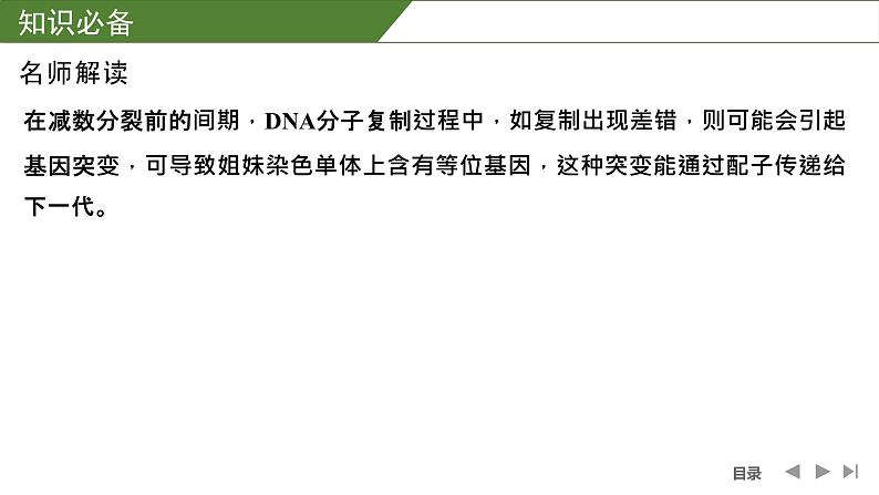 2024年高中生物大一轮复习必修一课件：微专题4 减数分裂与可遗传变异的关系第3页