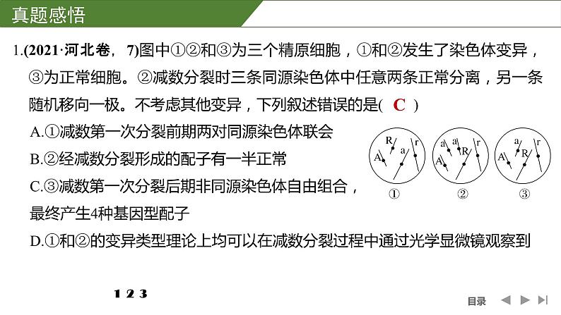 2024年高中生物大一轮复习必修一课件：微专题4 减数分裂与可遗传变异的关系第8页