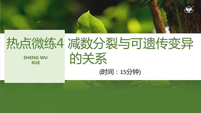 2024年高中生物大一轮复习必修一课件：热点微练4 减数分裂与可遗传变异的关系第1页