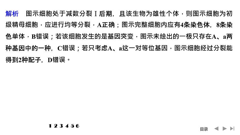 2024年高中生物大一轮复习必修一课件：热点微练4 减数分裂与可遗传变异的关系第3页