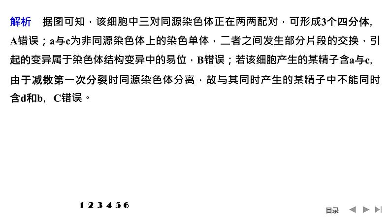 2024年高中生物大一轮复习必修一课件：热点微练4 减数分裂与可遗传变异的关系第5页