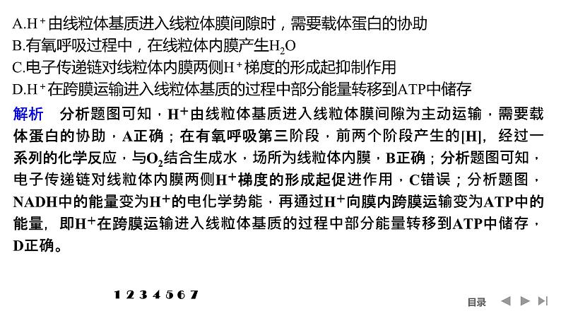2024年高中生物大一轮复习必修一课件：热点微练3 光呼吸、C4植物等特殊代谢类型第5页