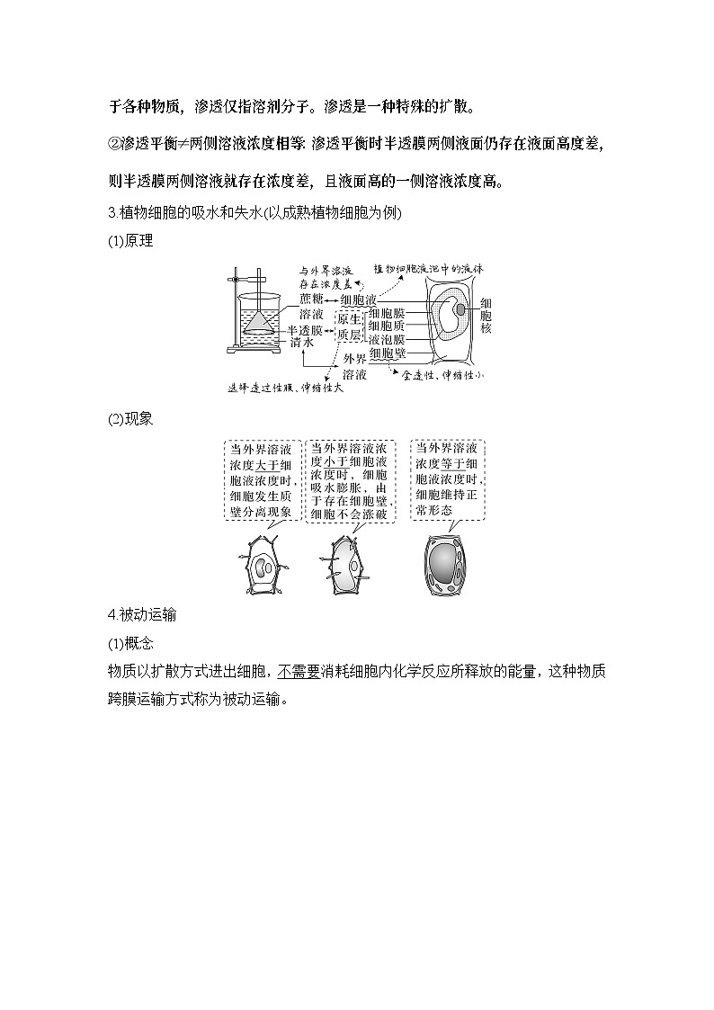 2024年高考生物大一轮必修1复习讲义：：第6讲　细胞的物质输入和输出第2页