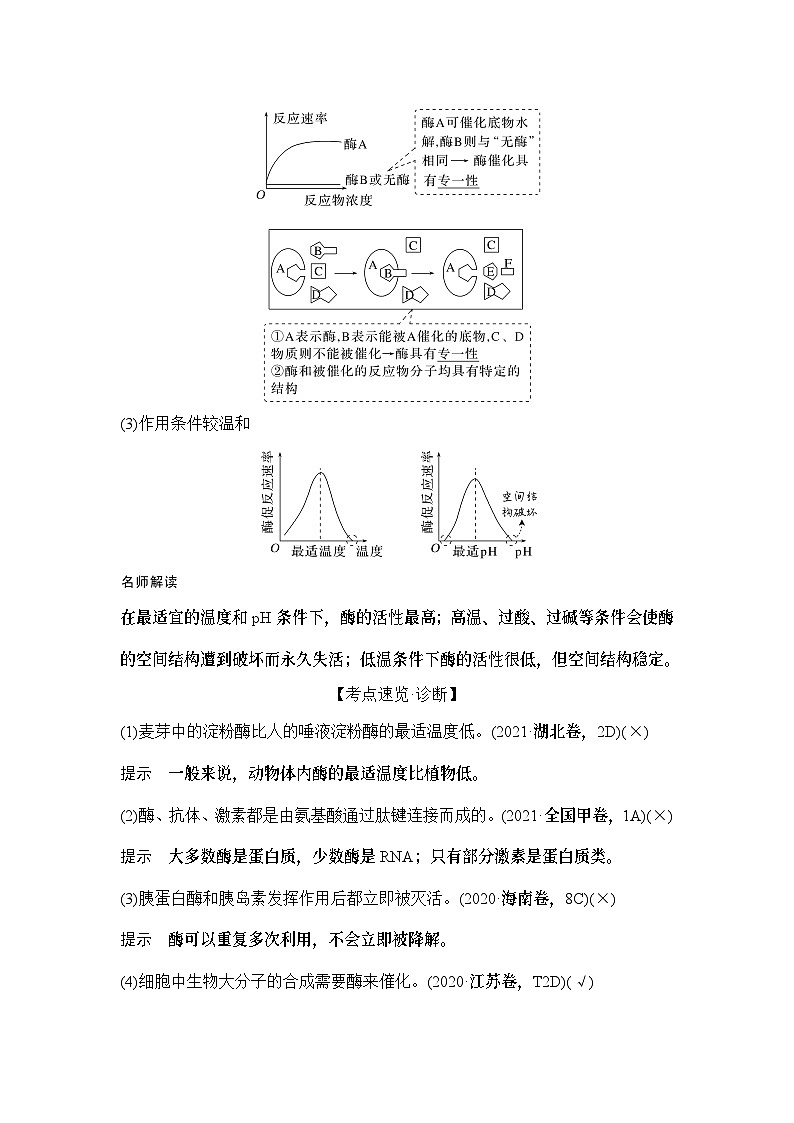 2024年高考生物大一轮必修1复习讲义：：第7讲　酶和ATP第3页