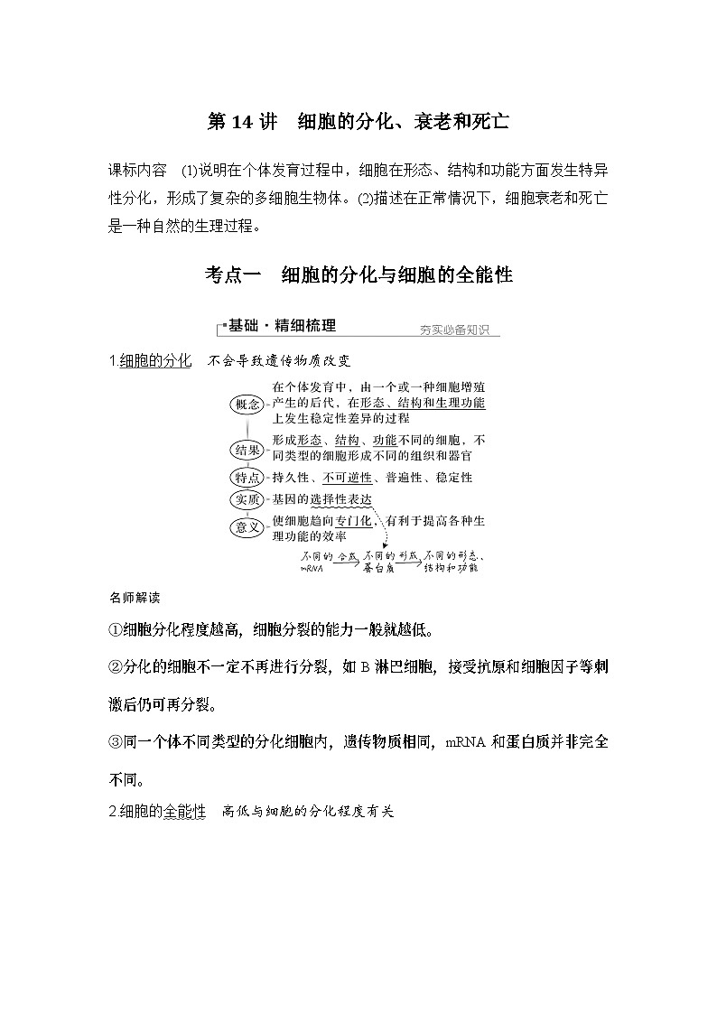 2024年高考生物大一轮必修1复习讲义：：第14讲　细胞的分化、衰老和死亡第1页