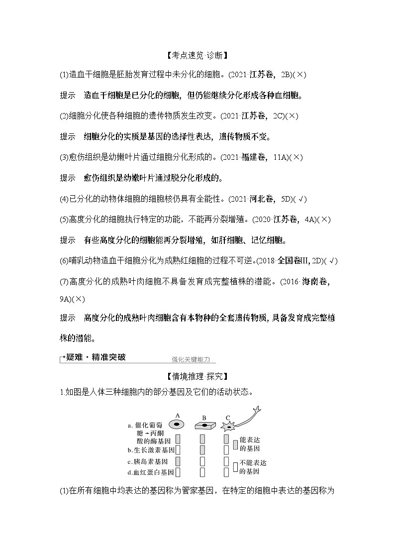 2024年高考生物大一轮必修1复习讲义：：第14讲　细胞的分化、衰老和死亡第3页