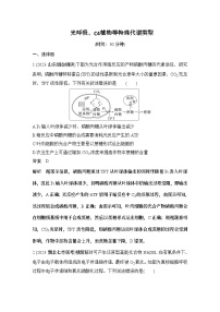 2024年高考生物大一轮必修1复习讲义：：热点微练3 光呼吸、C4植物等特殊代谢类型