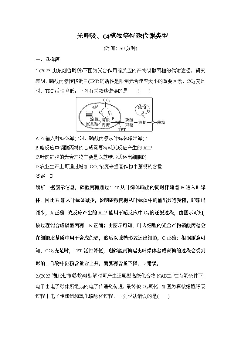 2024年高考生物大一轮必修1复习讲义：：热点微练3 光呼吸、C4植物等特殊代谢类型第1页