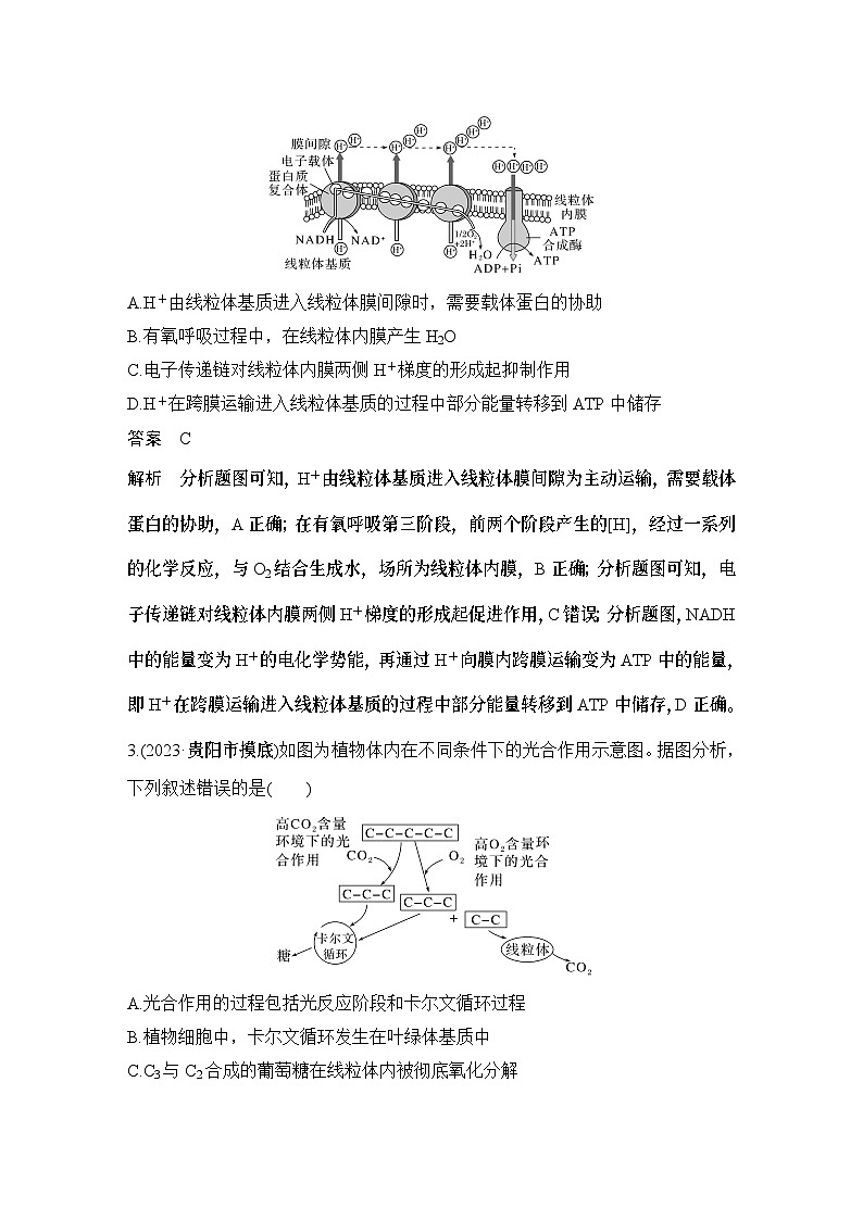 2024年高考生物大一轮必修1复习讲义：：热点微练3 光呼吸、C4植物等特殊代谢类型第2页