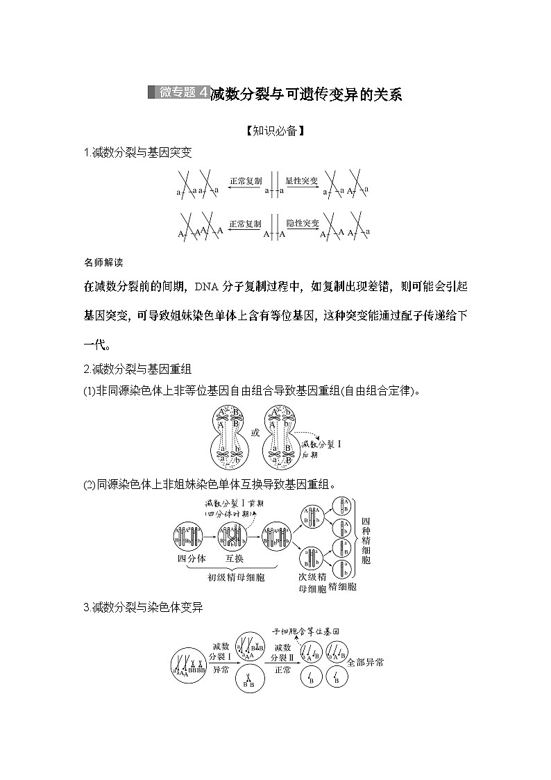 2024年高考生物大一轮必修1复习讲义：：微专题4 减数分裂与可遗传变异的关系01