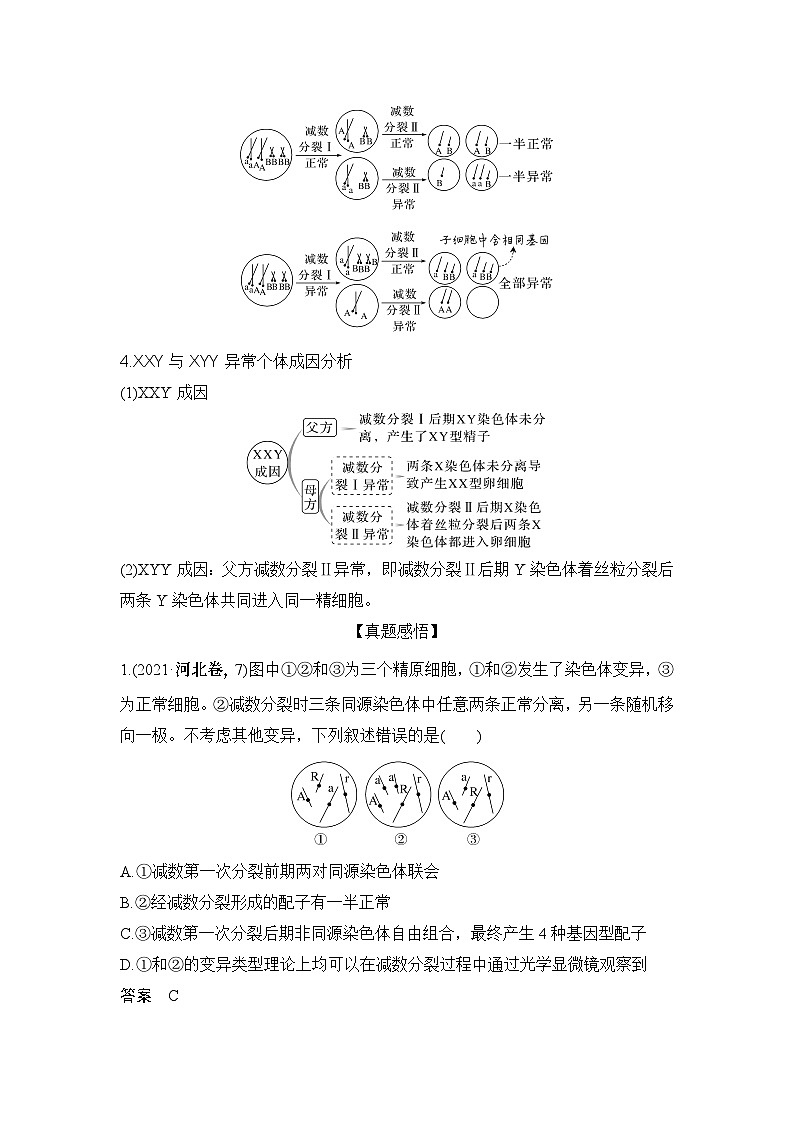 2024年高考生物大一轮必修1复习讲义：：微专题4 减数分裂与可遗传变异的关系02