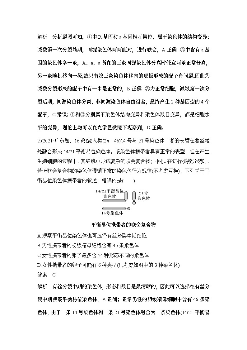 2024年高考生物大一轮必修1复习讲义：：微专题4 减数分裂与可遗传变异的关系03