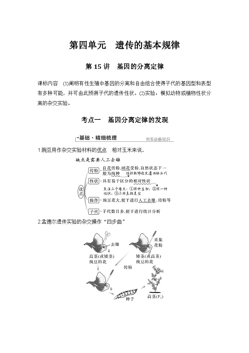 2024年高考生物大一轮必修2复习讲义：：第15讲　基因的分离定律第1页