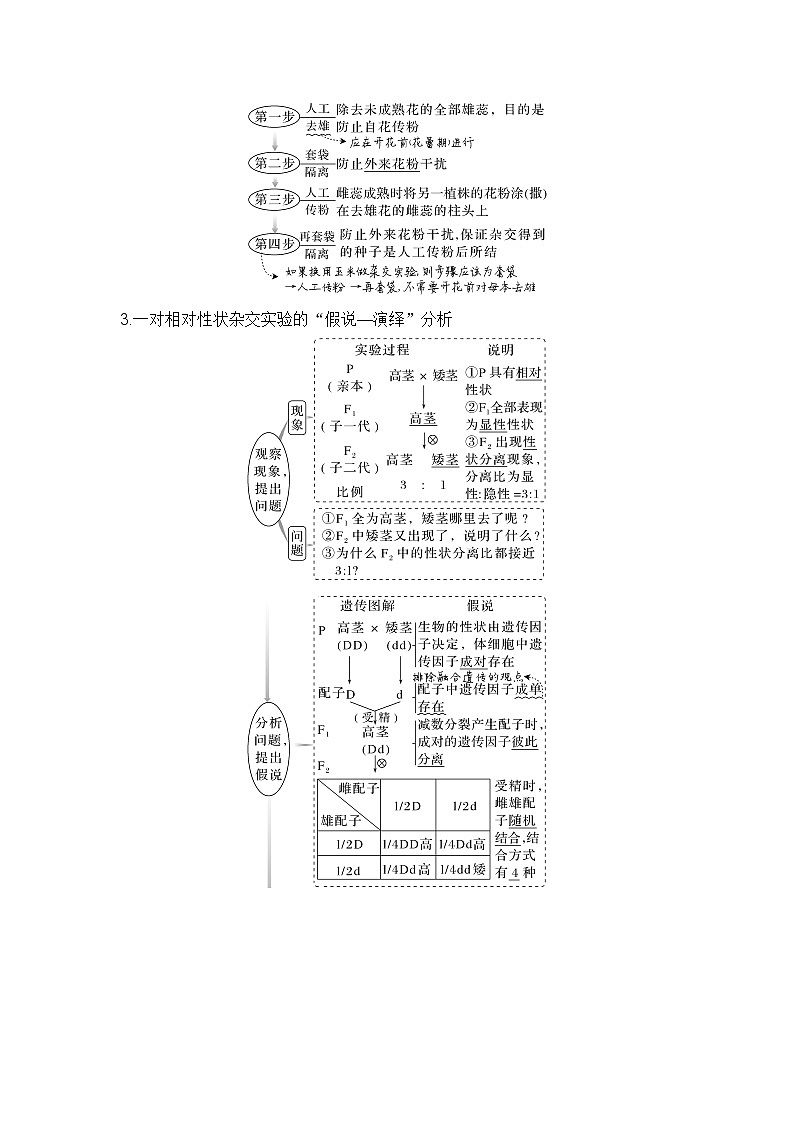 2024年高考生物大一轮必修2复习讲义：：第15讲　基因的分离定律第2页