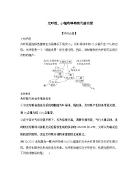 2024年高考生物大一轮必修1复习讲义：：微专题3 光呼吸、C4植物等特殊代谢类型