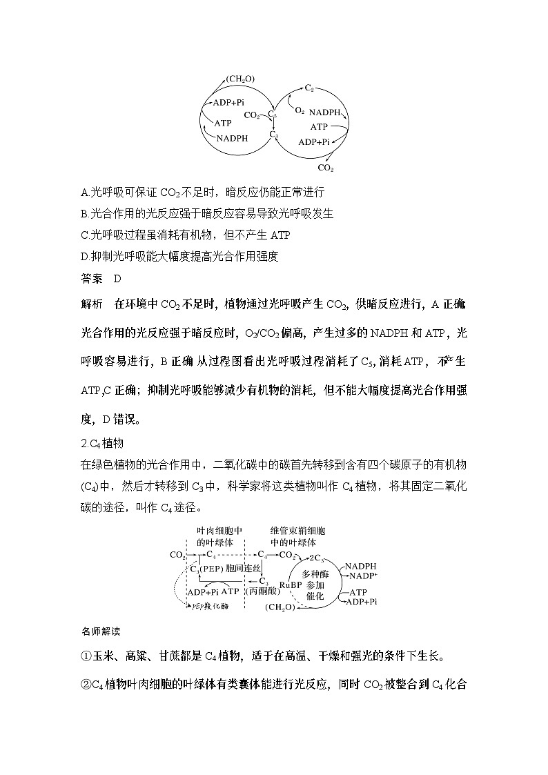 2024年高考生物大一轮必修1复习讲义：：微专题3 光呼吸、C4植物等特殊代谢类型第2页