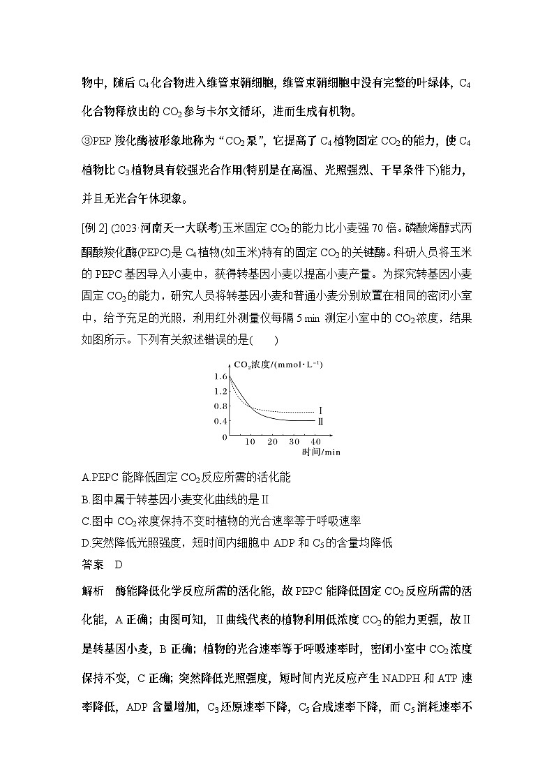 2024年高考生物大一轮必修1复习讲义：：微专题3 光呼吸、C4植物等特殊代谢类型第3页