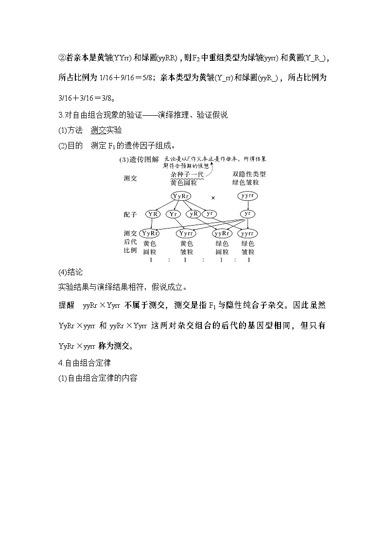 2024年高考生物大一轮必修2复习讲义：：第17讲　基因的自由组合定律第3页