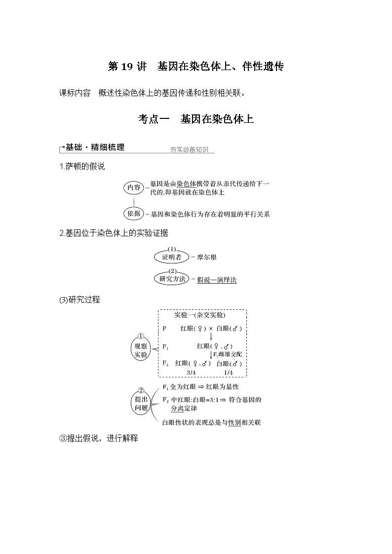 2024年高考生物大一轮必修2复习讲义：：第19讲　基因在染色体上、伴性遗传第1页