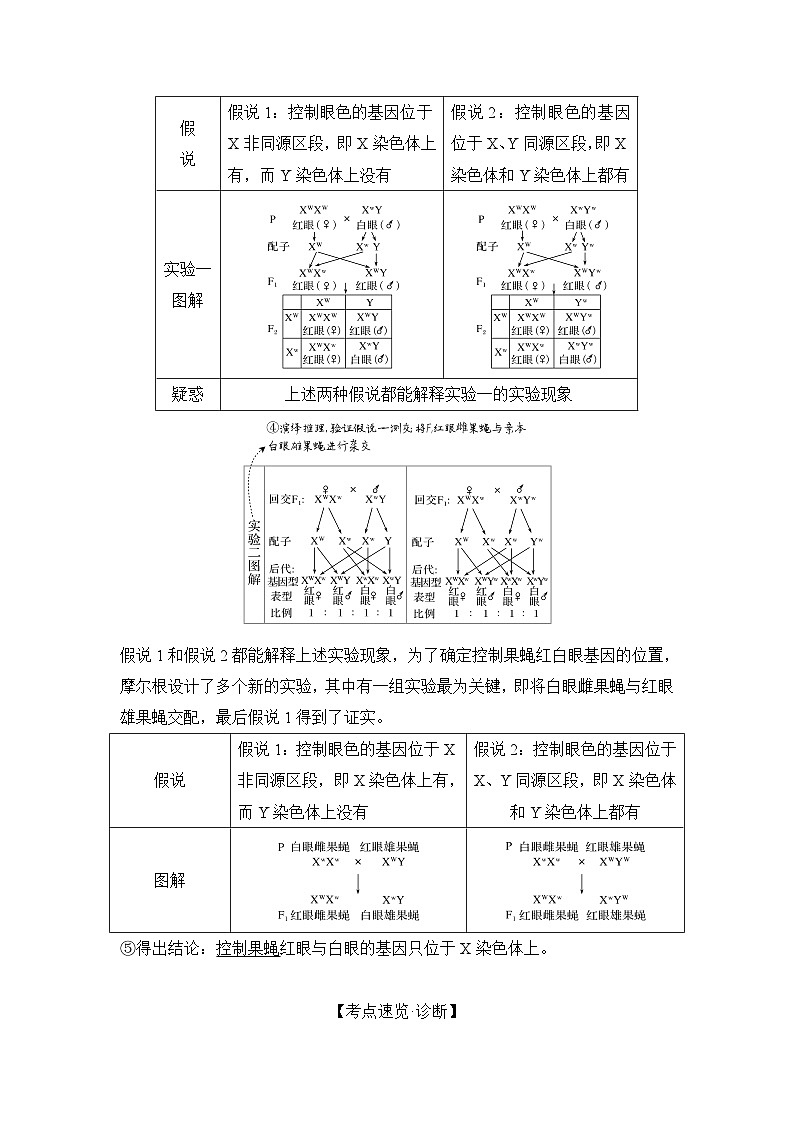 2024年高考生物大一轮必修2复习讲义：：第19讲　基因在染色体上、伴性遗传第2页