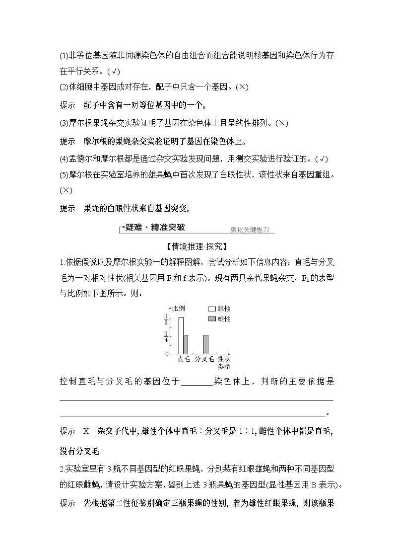 2024年高考生物大一轮必修2复习讲义：：第19讲　基因在染色体上、伴性遗传第3页